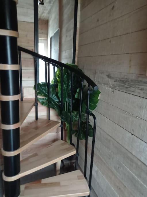 Le P'Tit Nid : Mini Loft Pour 2 A 4 Personnes Villa Tellin Ngoại thất bức ảnh